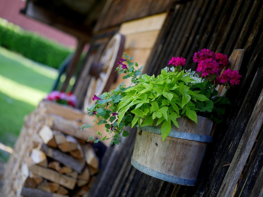 Apparthotel Ederfeld Mayrhofen Exterior foto